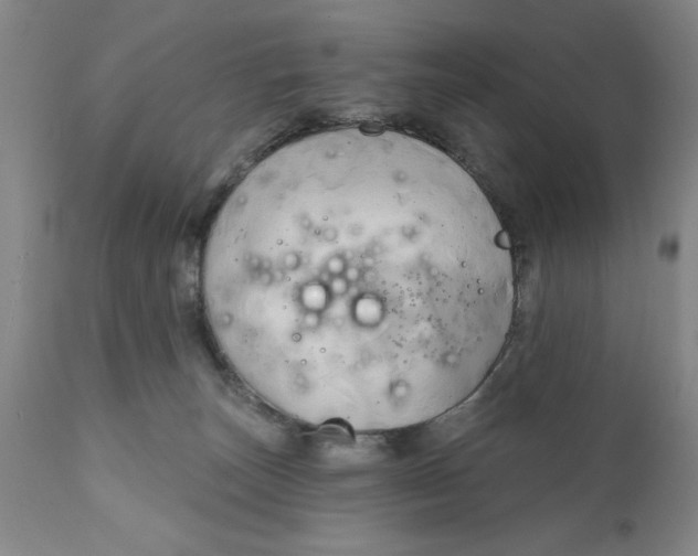 X0000111240179200907231538