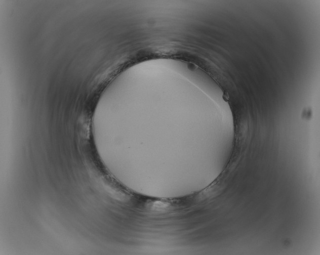 X0000111240180200907231538