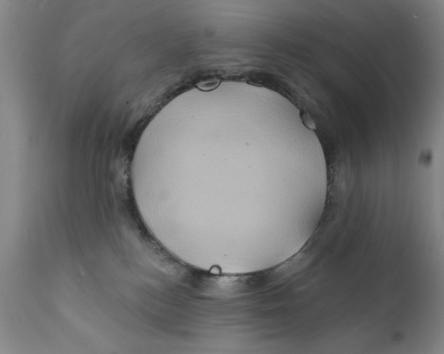 X0000111240184200907231538