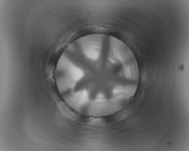 X0000111240185200907231538