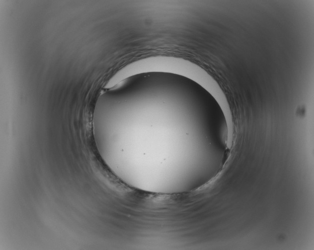 X0000111240186200907231538