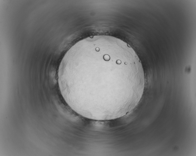 X0000111240187200907231538