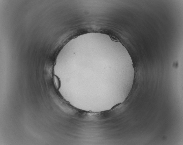 X0000111240188200907231538