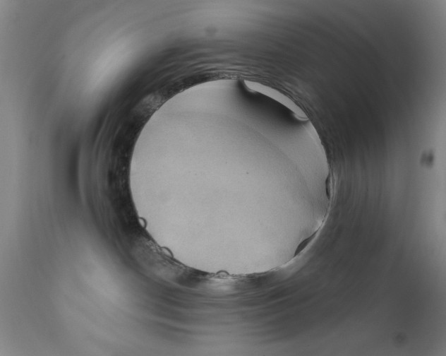 X0000111240190200907231538