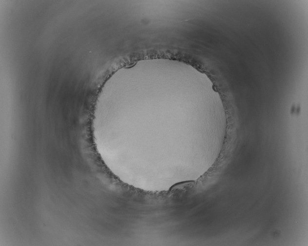 X0000111240192200907231538