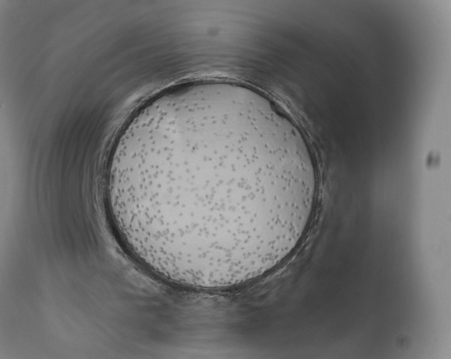 X0000111240193200907231537