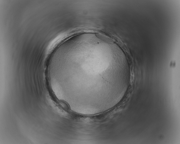 X0000111240197200907231537