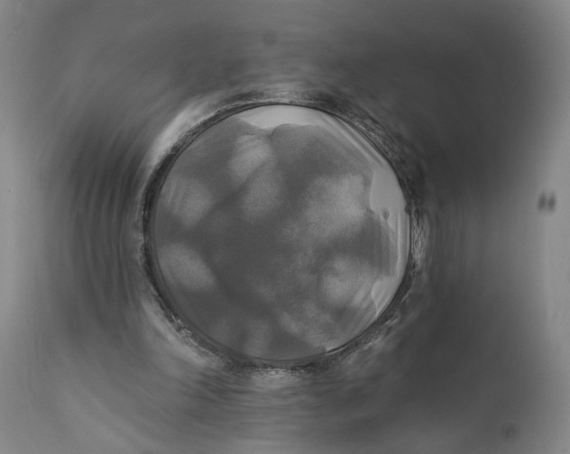 X0000111240198200907231537