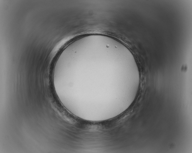 X0000111240200200907231537