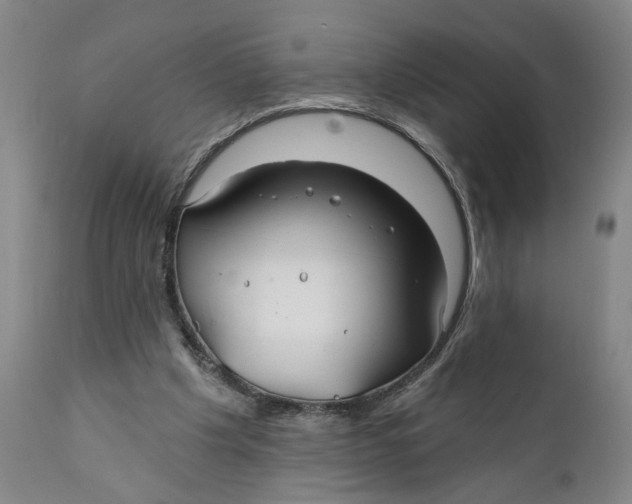 X0000111240201200907231537