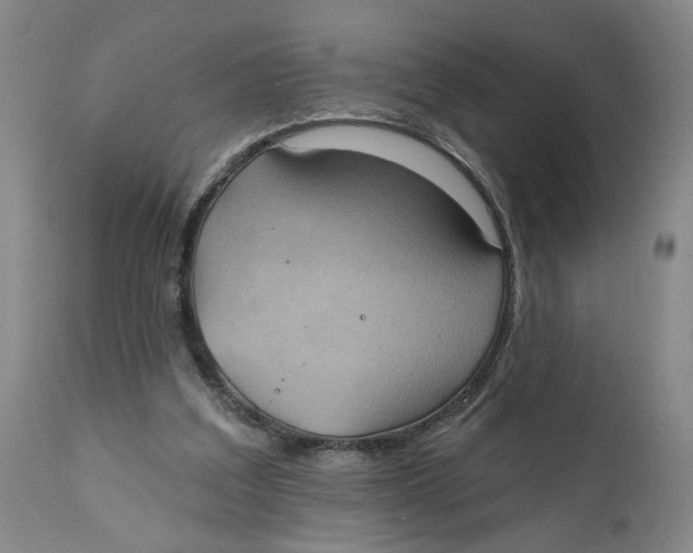 X0000111240203200907231537