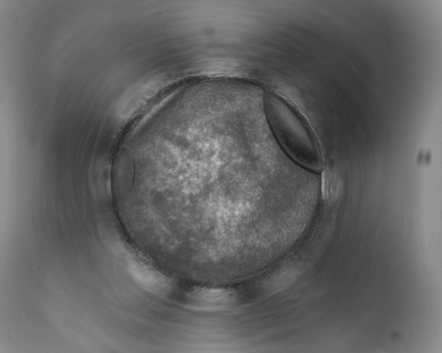 X0000111240205200907231537