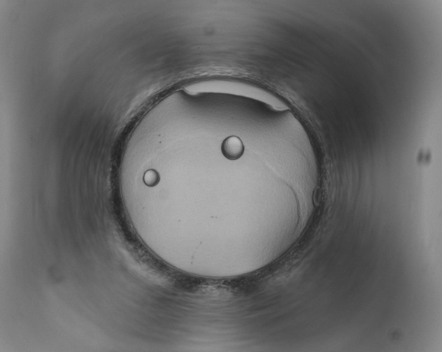 X0000111240207200907231537