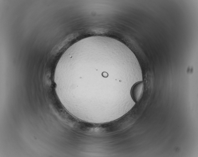 X0000111240212200907231536