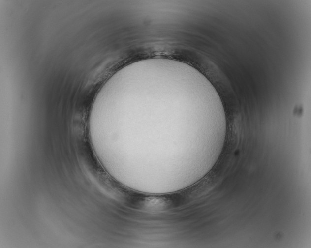 X0000111240218200907231536