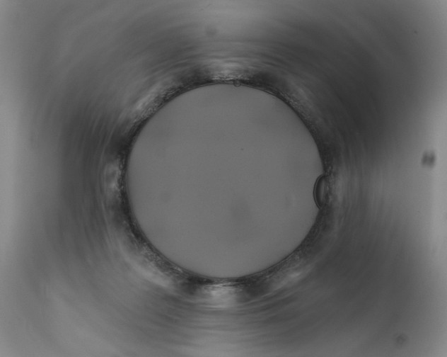 X0000111240219200907231536