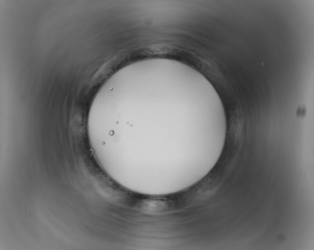 X0000111240220200907231536