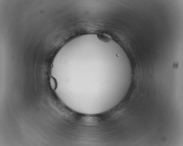 X0000111240221200907231536