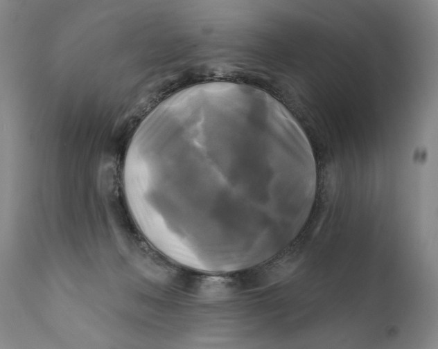 X0000111240222200907231536