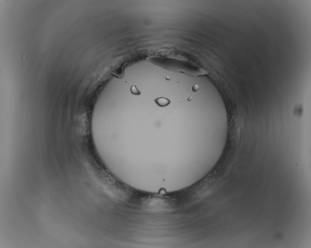 X0000111240224200907231536