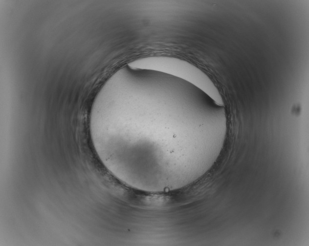 X0000111240225200907231536