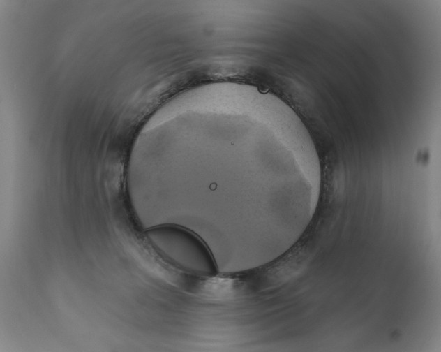 X0000111240227200907231536