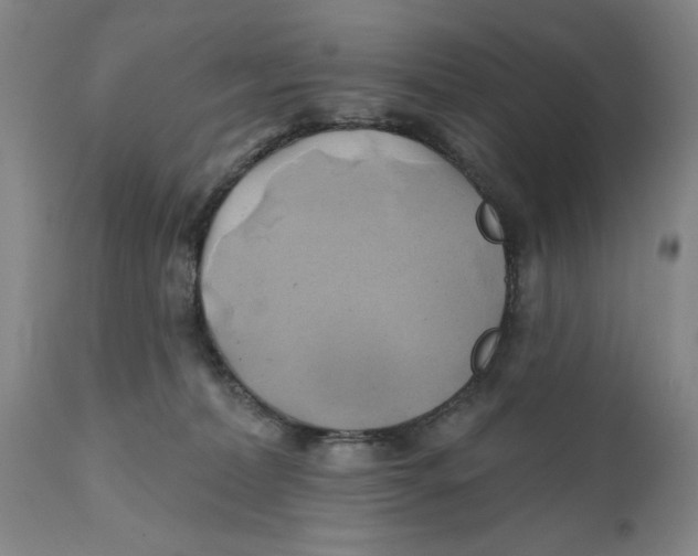 X0000111240228200907231536