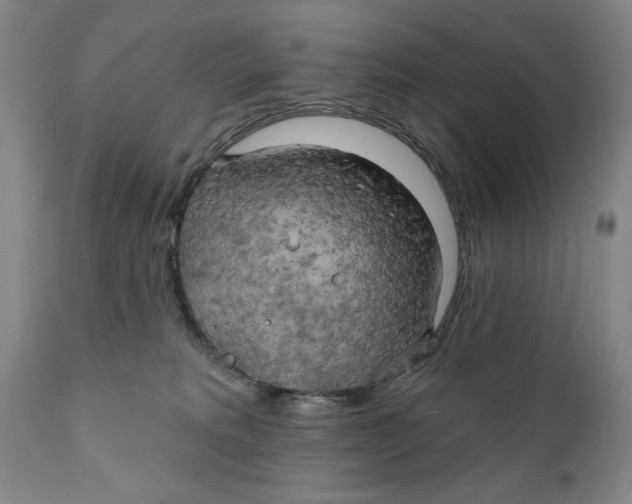 X0000111240229200907231536