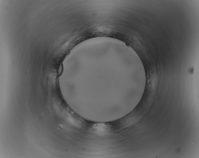 X0000111240231200907231536