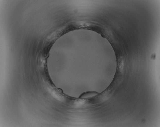 X0000111240235200907231536