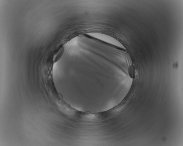 X0000111240237200907231536