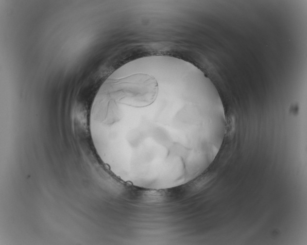 X0000111240238200907231536