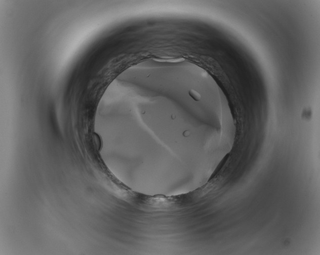 X0000111240239200907231536