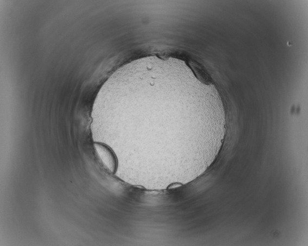 X0000111240240200907231536