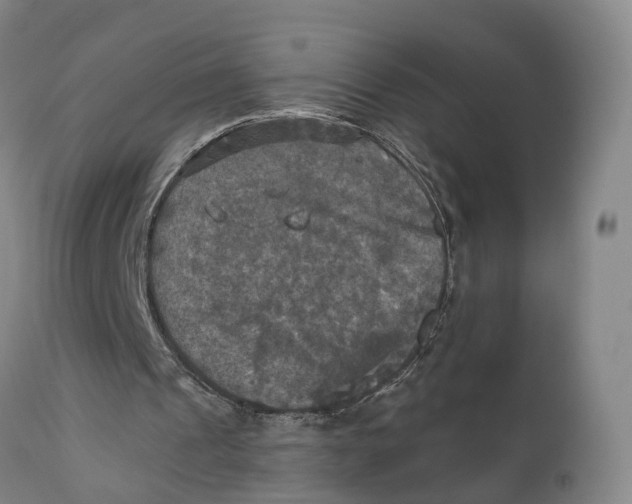 X0000111240241200907231535