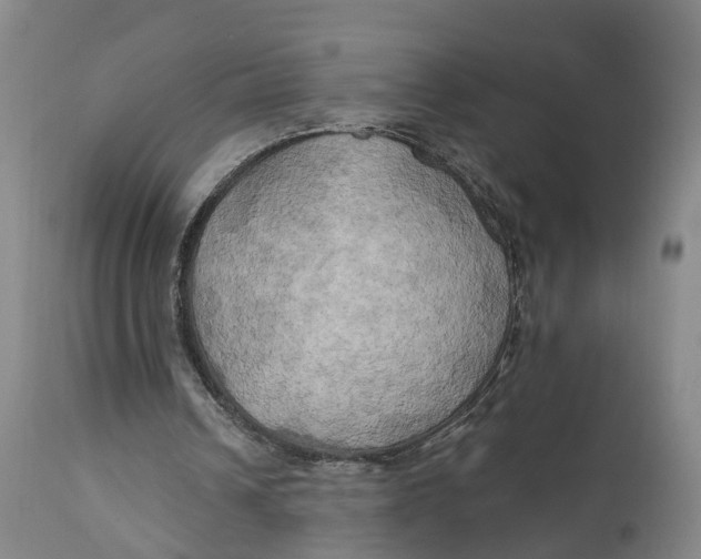 X0000111240242200907231535