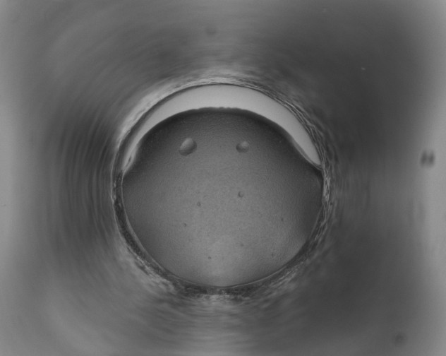 X0000111240244200907231535