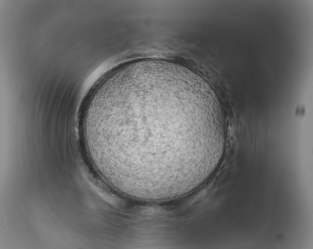 X0000111240246200907231535