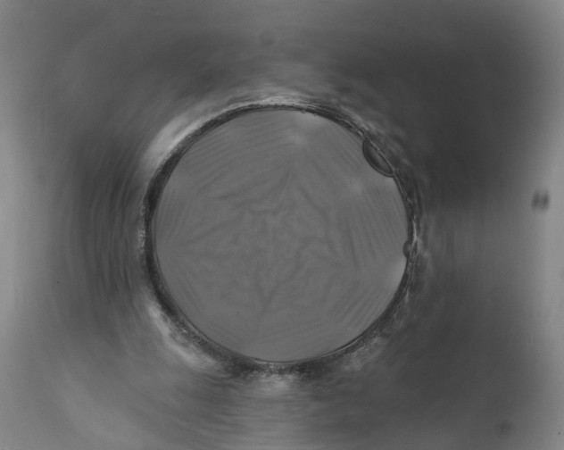 X0000111240247200907231535