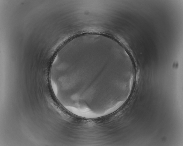 X0000111240249200907231535