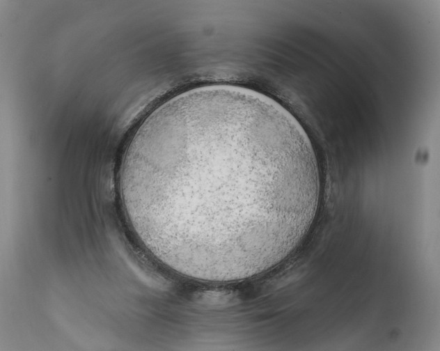 X0000111240251200907231535