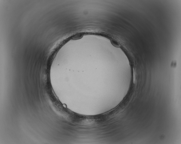 X0000111240252200907231535