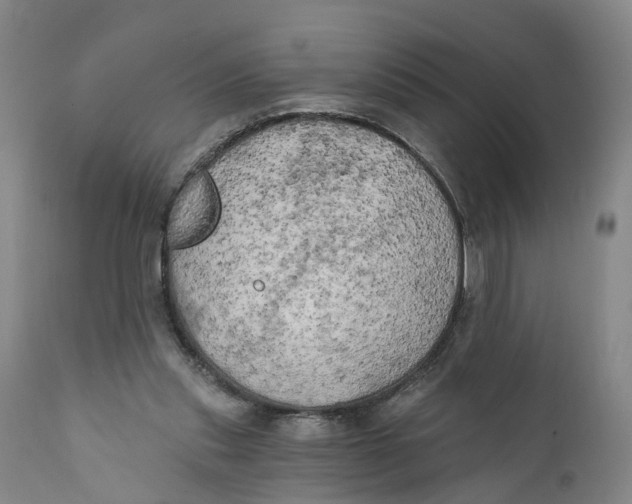 X0000111240253200907231535