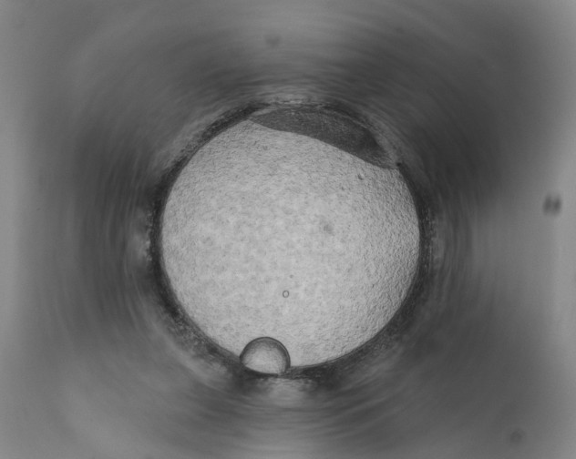 X0000111240255200907231535