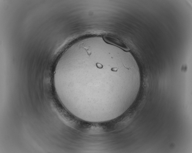 X0000111240256200907231535