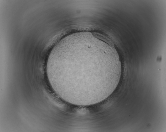 X0000111240258200907231535