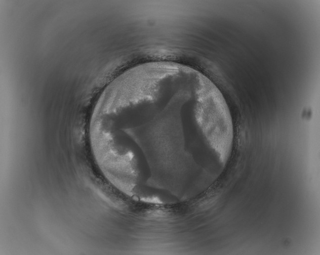 X0000111240259200907231535