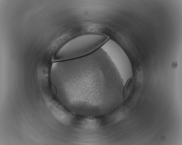 X0000111240260200907231536