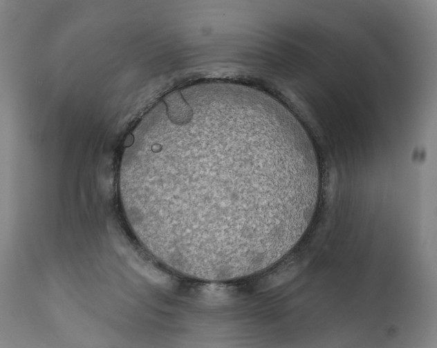 X0000111240261200907231536