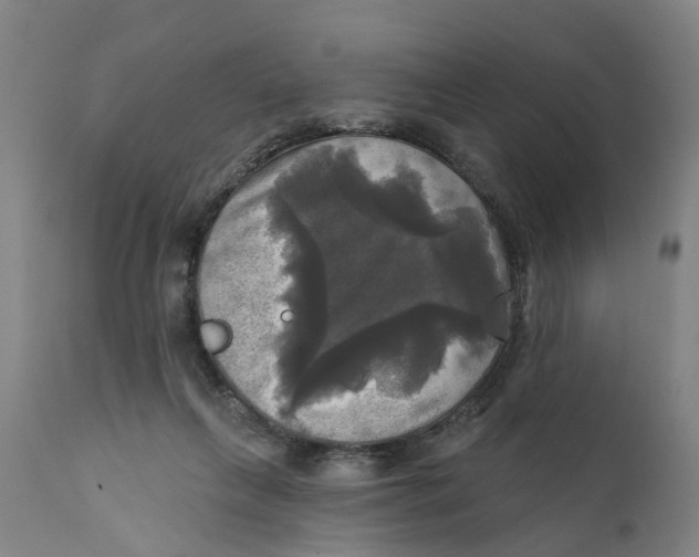 X0000111240263200907231536